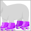 ローラースケート(紫)